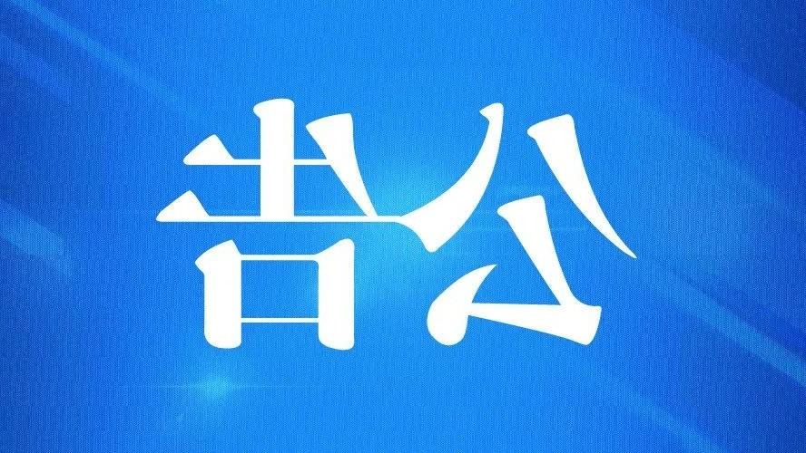 国外十大正规买球平台铁制品及塑料制品挂拍公告（湖南省岳阳市岳阳县）（已成交）